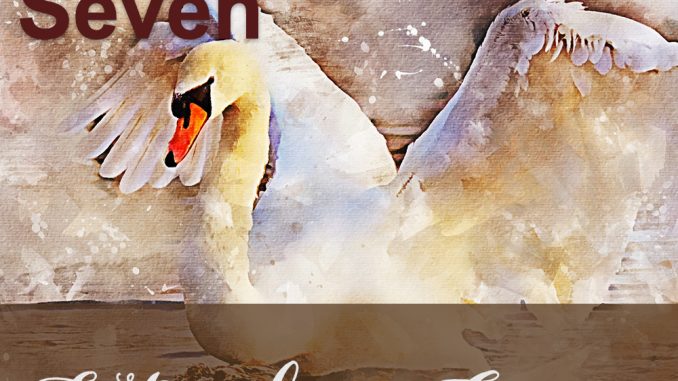 devotions-11-seventy-times-seven