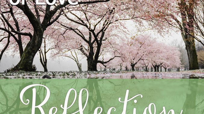 devotions-14-creating-a-network-of-love